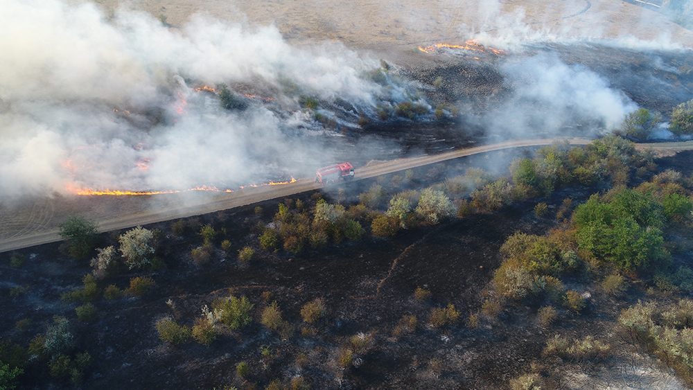 Масштабна пожежа під Миколаєвом: з'явилося відео, як рятували унікальний заповідник