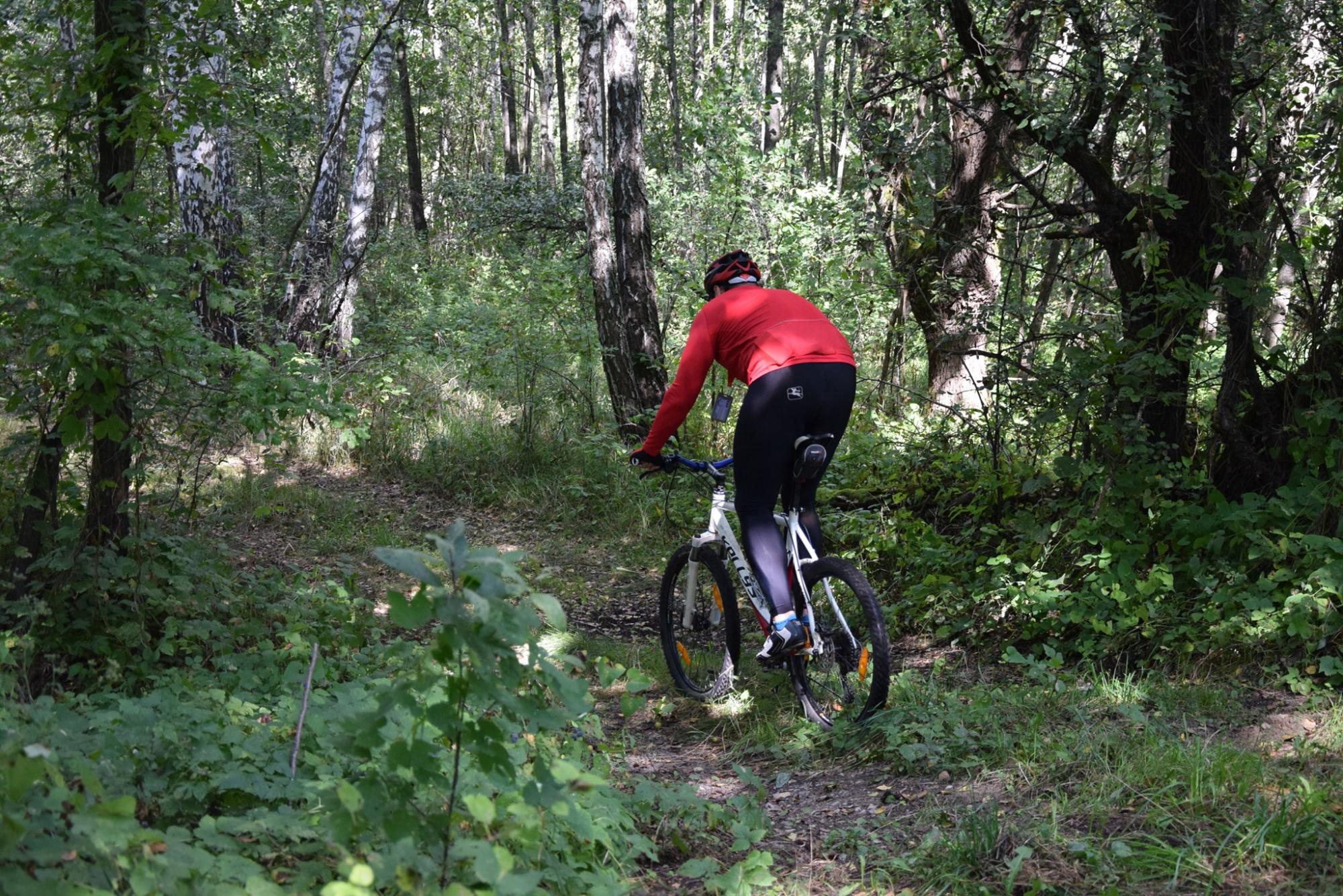 В Чернобыльской зоне появился первый веломаршрут: где можно кататься