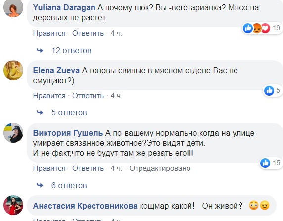 На київському ринку побачили замучену тварину: в мережі переполох