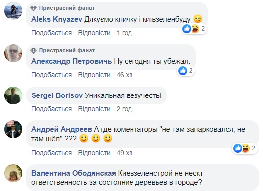 У центрі Києва чоловік дивом ухилився від падаючого дерева: відео порятунку