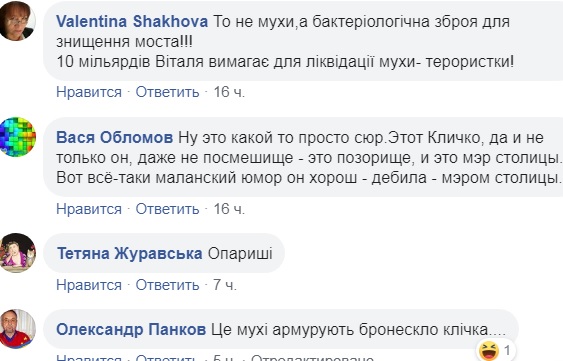 Новий скандал з &quot;мостом Кличка&quot;: всередині скла завелися мухи (відео)