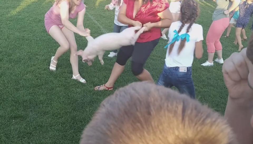 Жорстокі розваги: на Волині натовп ледь не розірвав порося (відео 18+)