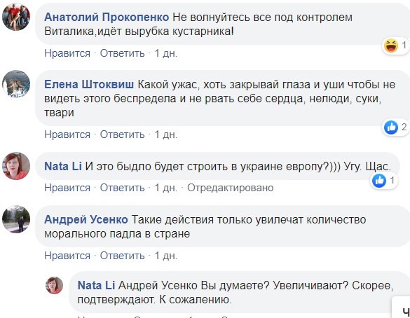 У центрі Києва безжально рубають дерева (відео)