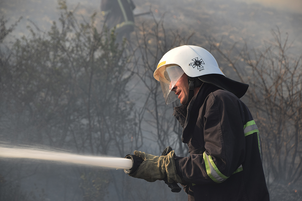 Масштабна пожежа під Миколаєвом: з'явилося відео, як рятували унікальний заповідник