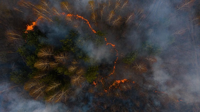 Когда в Киеве будет высокая концентрация дыма из Чернобыля: названа дата