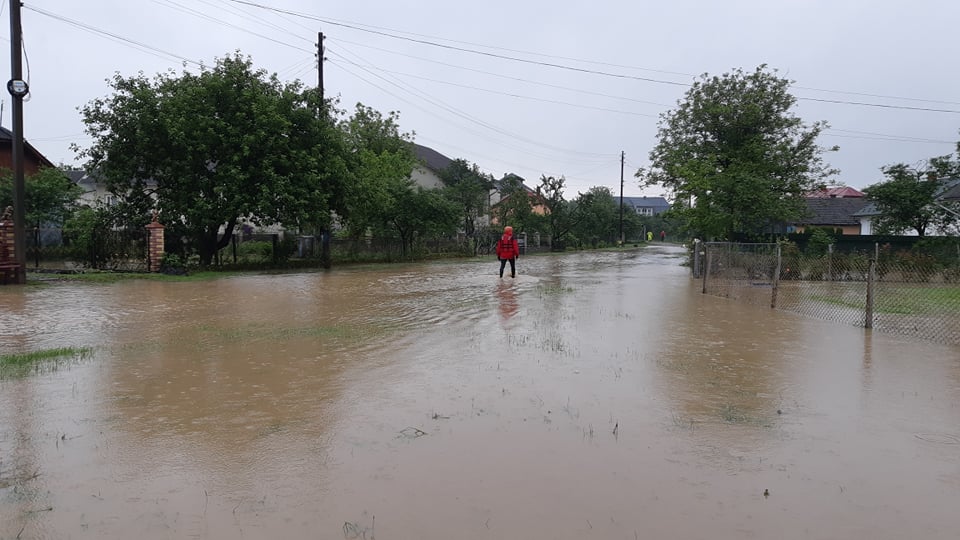 Под Львовом река вышла из берегов и затопила сотню домов: фото и видео инцидента