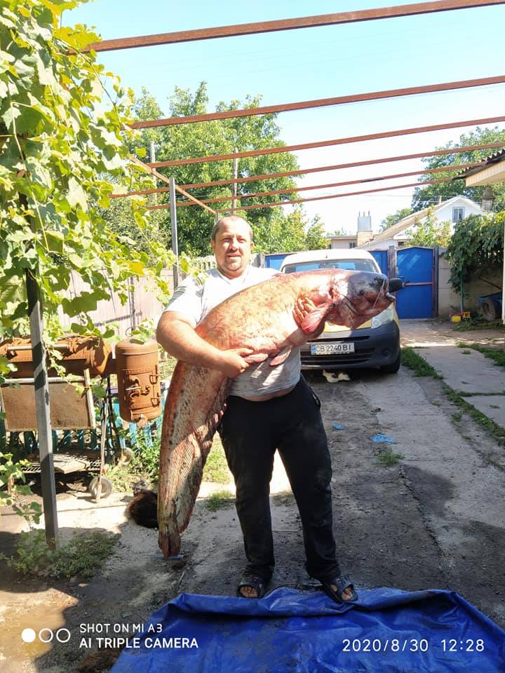 Українець зловив гігантського сома: вражаючі фото