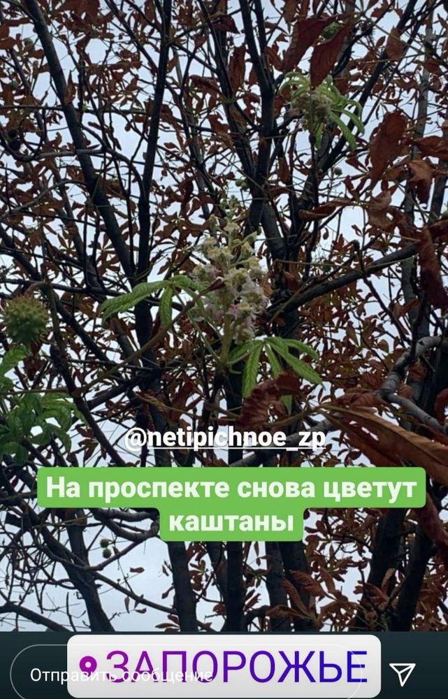 В Запорожье на фото попала природная аномалия: удивились даже климатологи