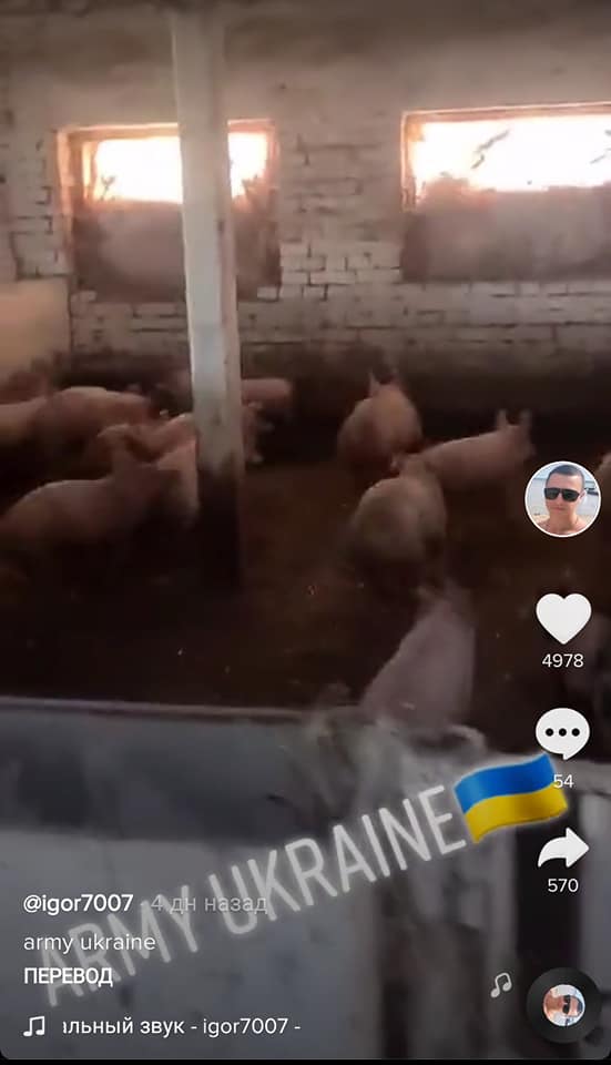 Сравнил воинов ВСУ со свиньями: появилось имя и фото украинского пограничника
