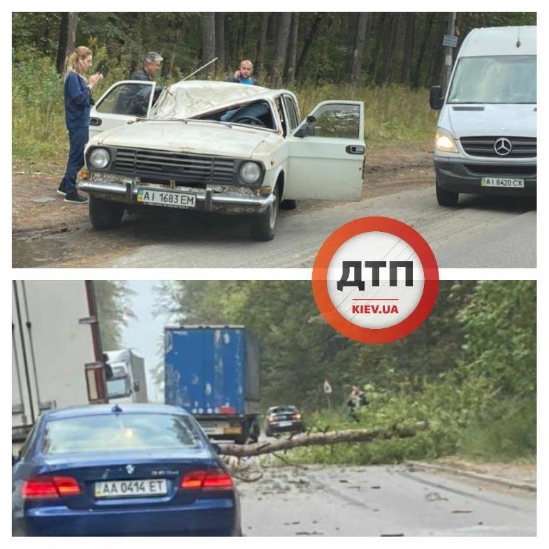У Києві дерево вбило водія "Волги": фото з місця трагічної НП