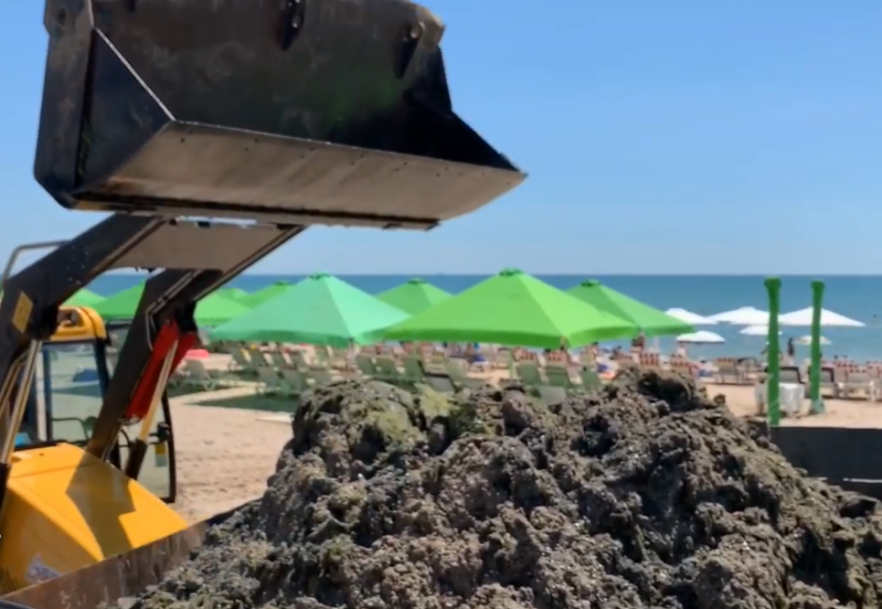 В Одесі з пляжів вивезли вантажівками 200 тонн токсичних водоростей: відео