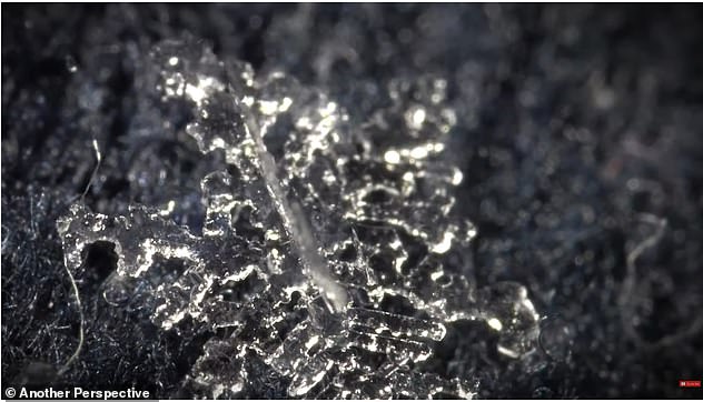 Образование снежинок показали в сказочном видео: кадры вас заворожат