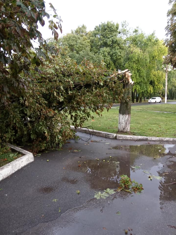 Ураган под Полтавой срывал крыши и деревья, пробивал ветвями авто и погрузил область во тьму