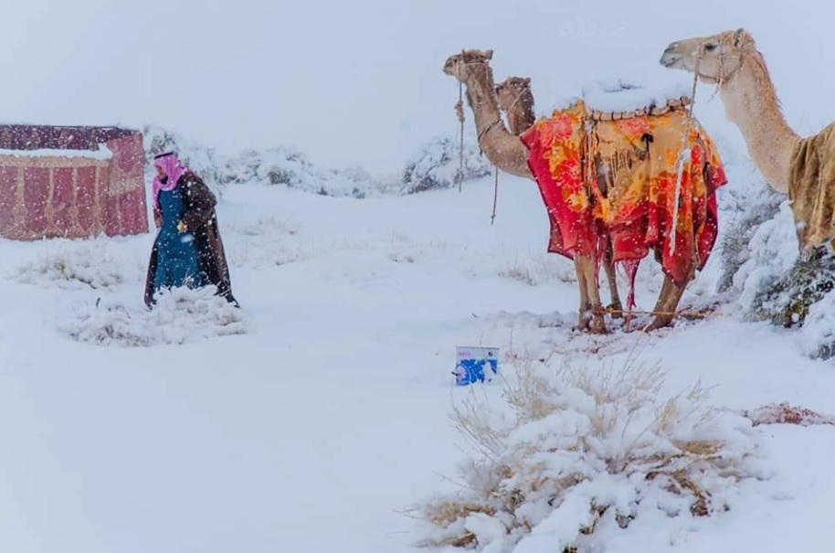 В Сахаре выпал снег: фото и видео из крупнейшей жаркой пустыни