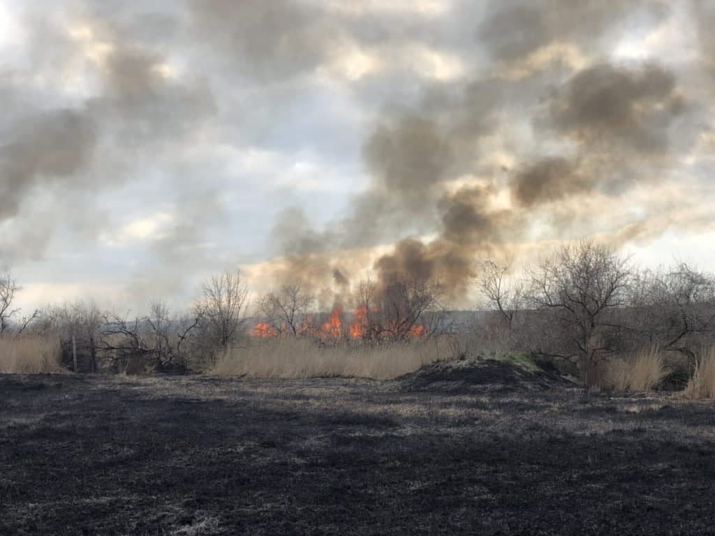 Діти влаштували масштабну пожежу поблизу відомого українського курорту: фото та відео