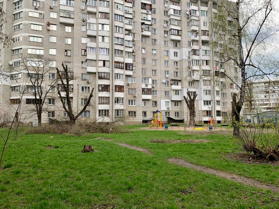 У Києві нещадно порізали дерева: "комусь не вистачає дров на шашлики?"