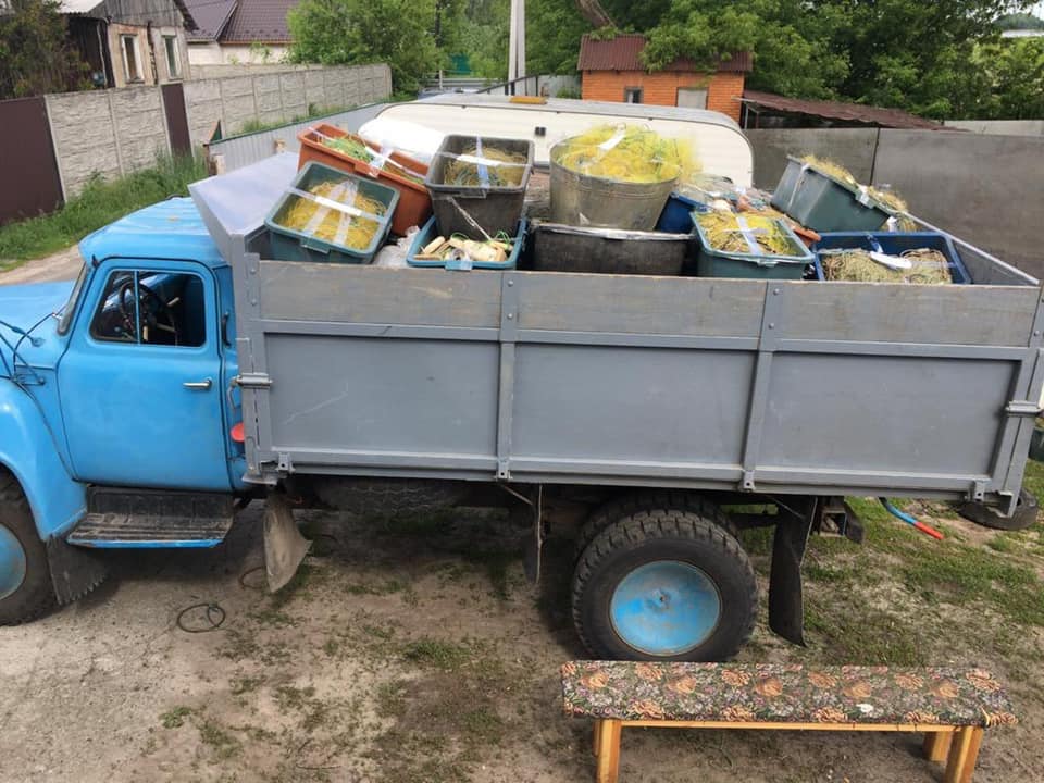У Києві браконьєри продавали на ринках рибу з Чорнобильської зони