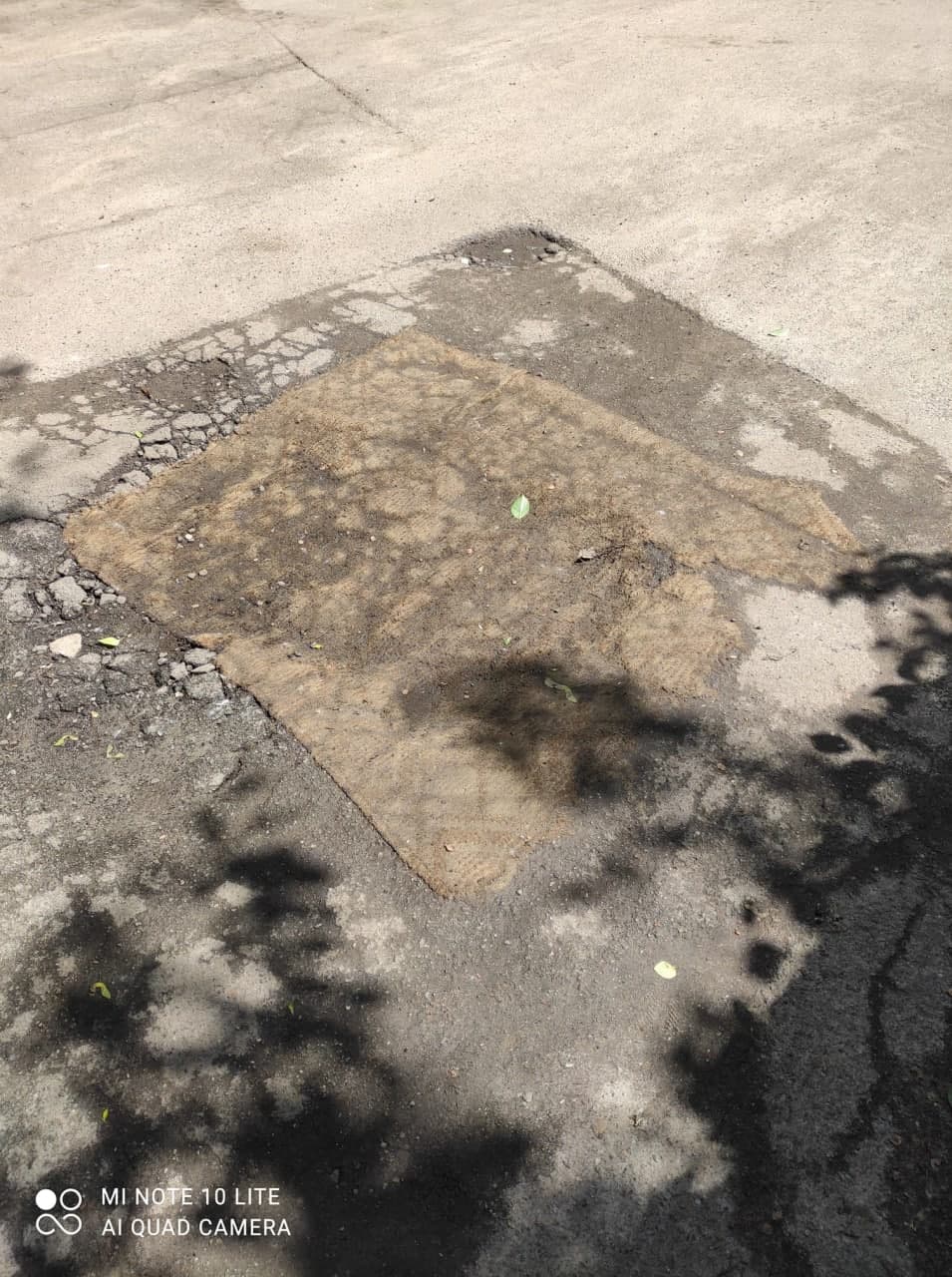 В Киеве люди "залатали" ямы на дороге коврами (фото)