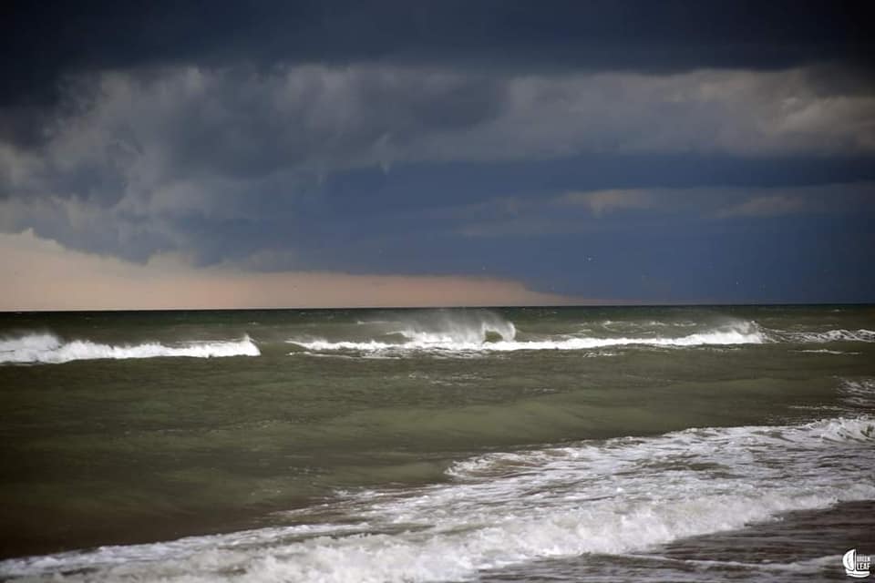 На популярному українському курорті після дощів "зацвіло" море: екологи б'ють на сполох (фото)