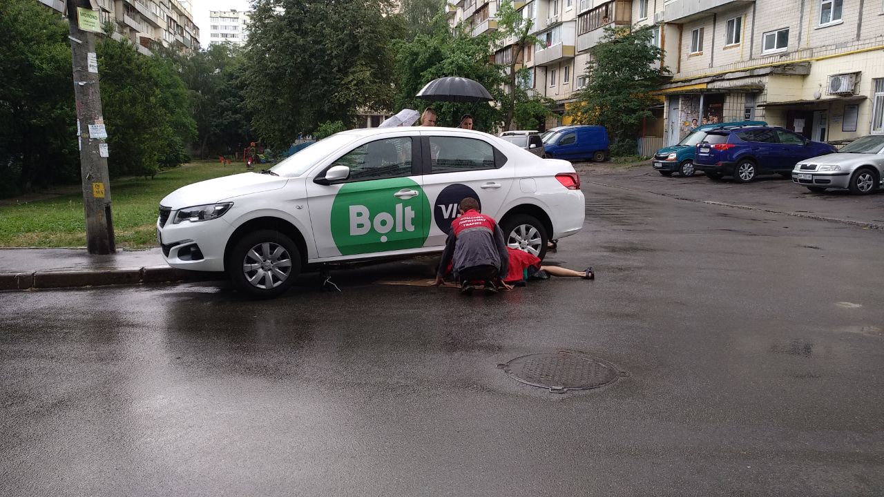 В Киеве змея сбежала от хозяев и заползла в автомобиль такси (фото)