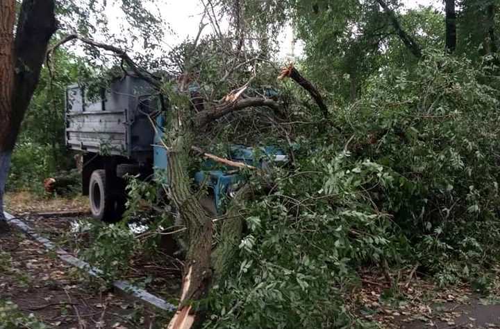 Дахи літали, а дерева виривало з асфальтом: ураган наробив біди під Одесою