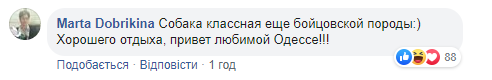 Зеленский в Одессе рассмешил сеть пляжным фото с собачкой