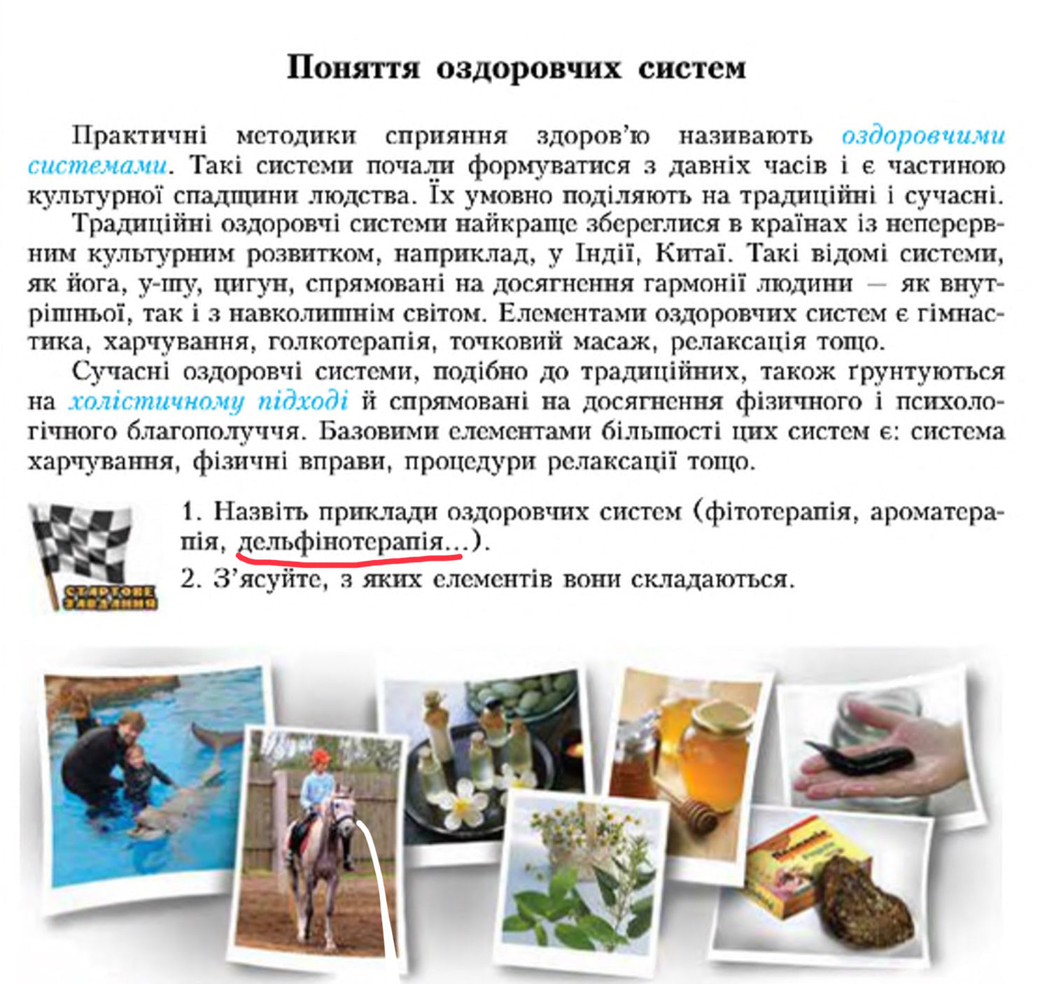 Букварь для первоклашек попал в скандал из-за цирка с животными: разрушает психику детей