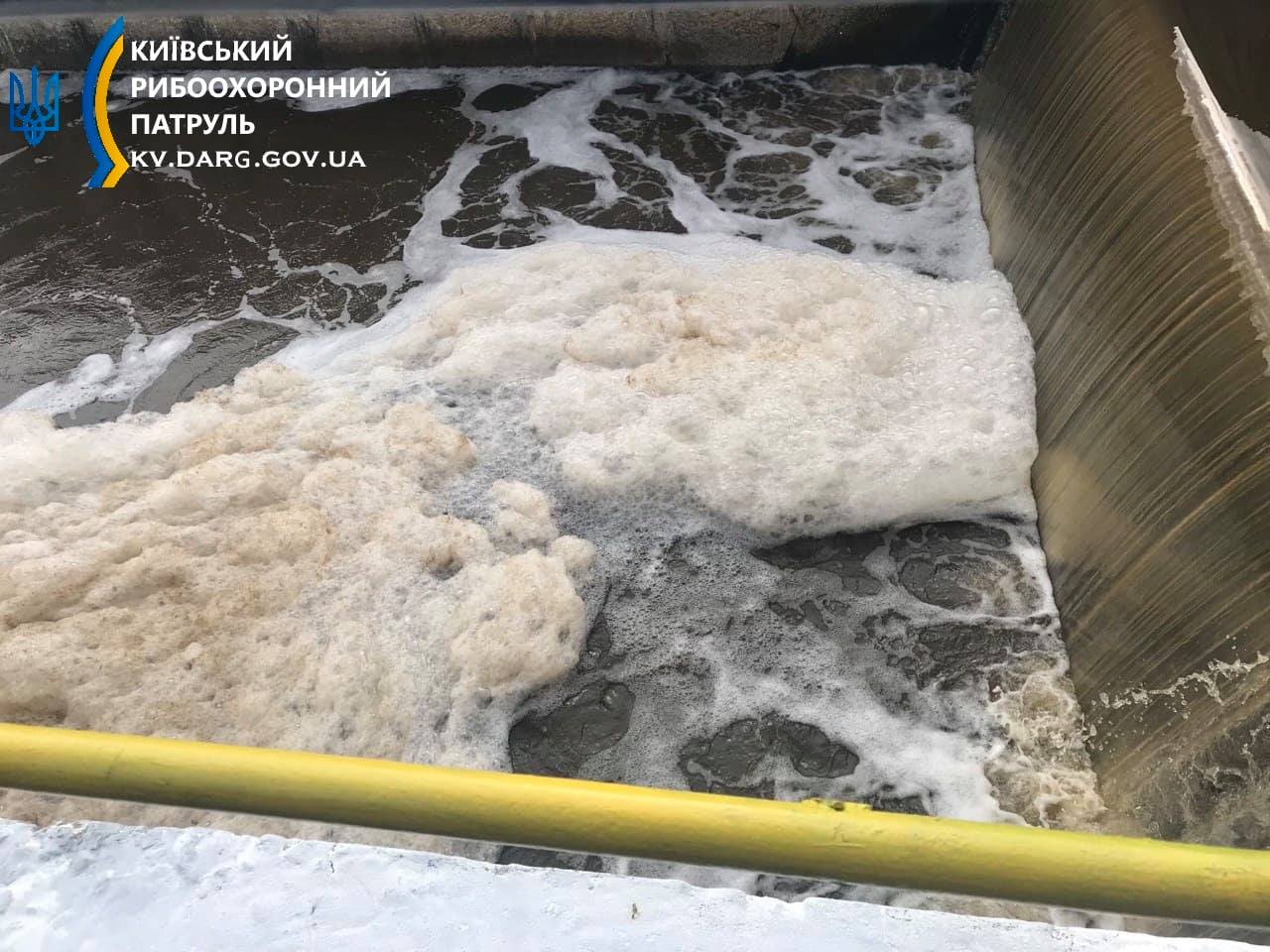 Під Києвом річка перетворилася на коричневу рідину з мертвою рибою: фото екокатастрофи