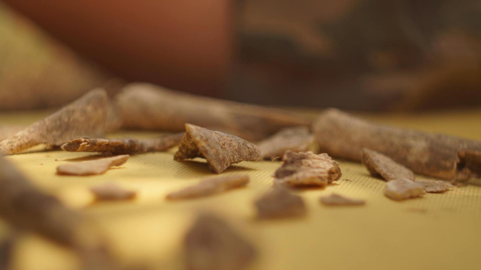 Археологи знайшли на легендарній Мамай-Горі культові скіфські ями IV століття до н.е. (фото)