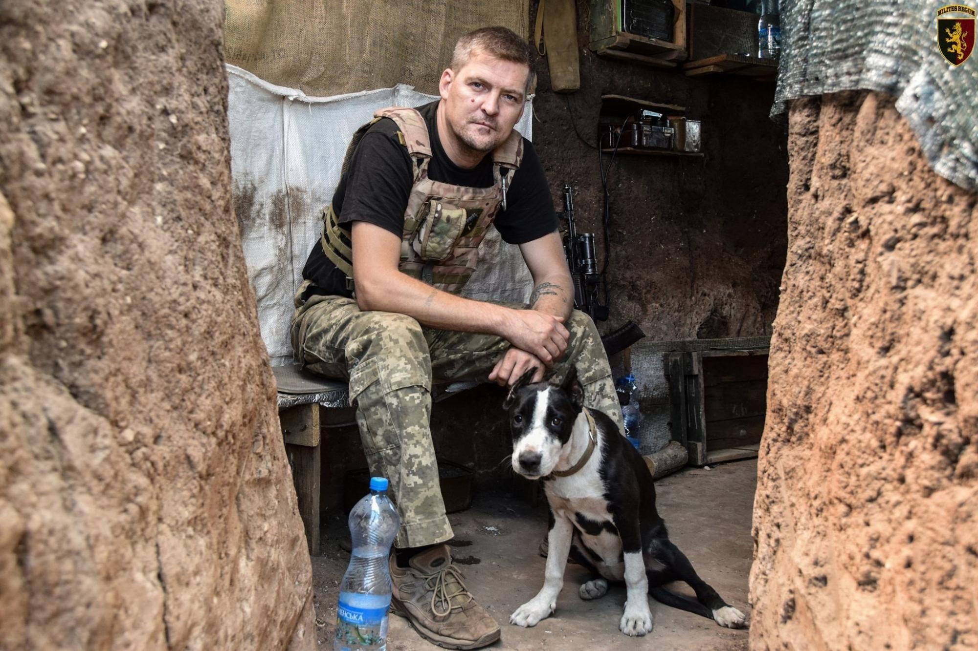Кудлаті вояки: фото вірних чотирилапих друзів українських бійців на передовій