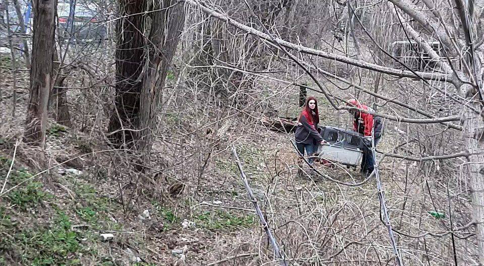 Под Киевом спасли енота Кирюшу, который взобрался на 12-метровое дерево: как это было (фото)