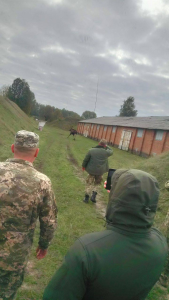 У Житомирській області військова прокуратура виявила порушення на базі боєприпасів