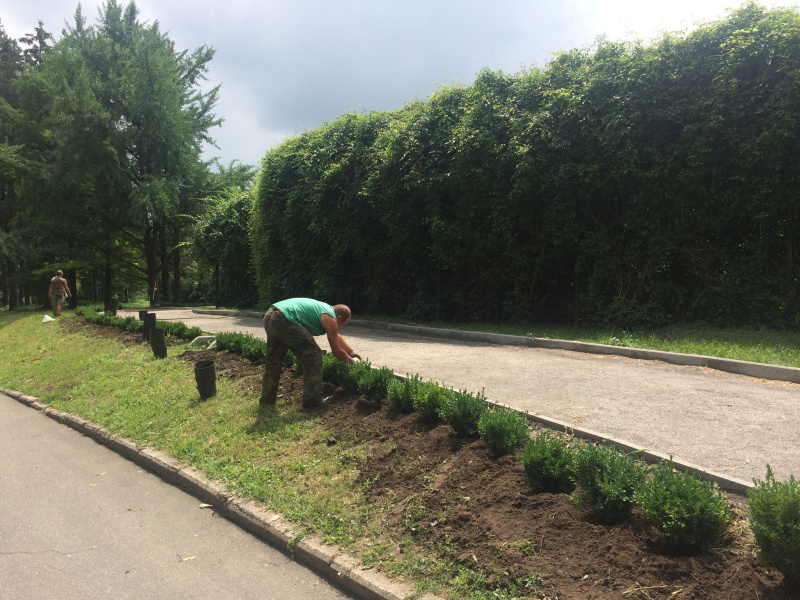 Глава Антикоррупционной инициативы ЕС: только 19 дел НАБУ по коррупции получили решение суда