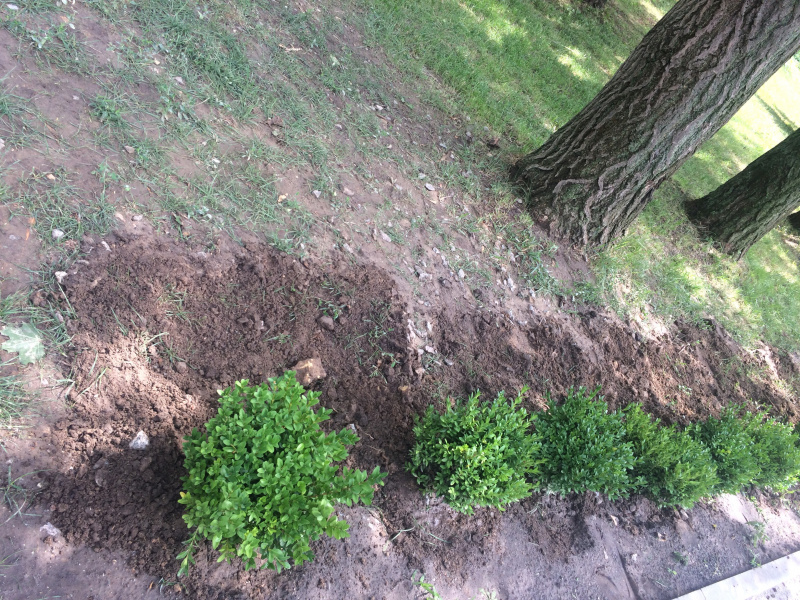 Глава Антикоррупционной инициативы ЕС: только 19 дел НАБУ по коррупции получили решение суда