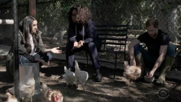 Меган Маркл и принц Гарри показали милое видео с сыном Арчи на пустынном пляже