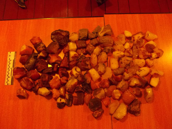 У Рівненській області поліцейські вилучили більше 9 кг бурштину