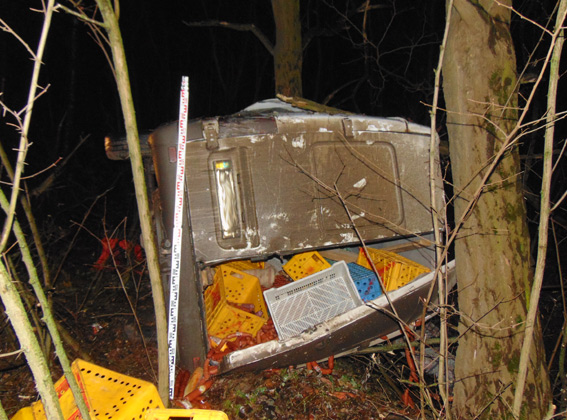 У Житомирській області перекинувся мікроавтобус, є загиблі