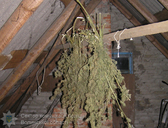 У Волинській області у чоловіка вилучили зброю, вибухівку та наркотики