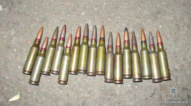 В Запорожской области правоохранители изъяли у местного жителя арсенал оружия