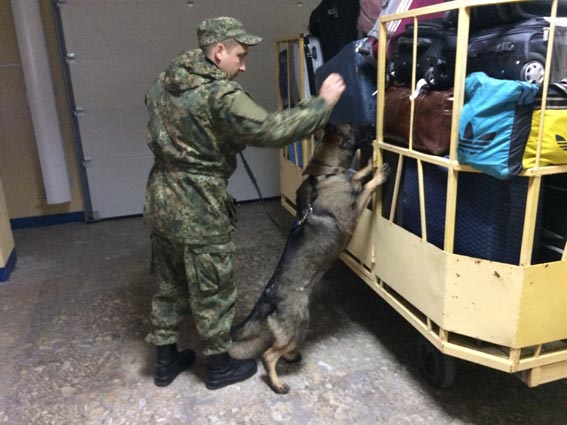 В Днепре, Херсоне и Виннице полиция проверяет сообщения о &quot;минировании&quot; аэропортов