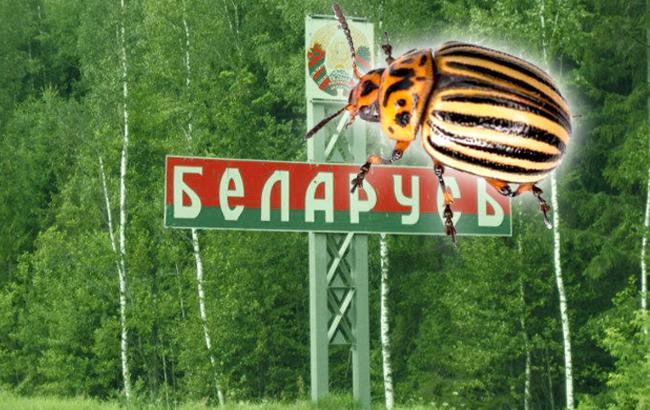 Підсумки дня: 15 червня