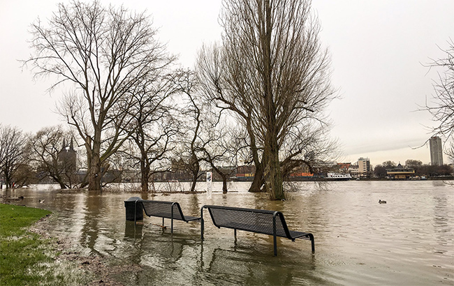 У Німеччині річка Рейн вийшла з берегів
