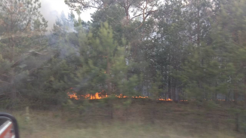 Пожежа в Чорнобилі: розповсюдження продуктів горіння в сторону Києва не спостерігається