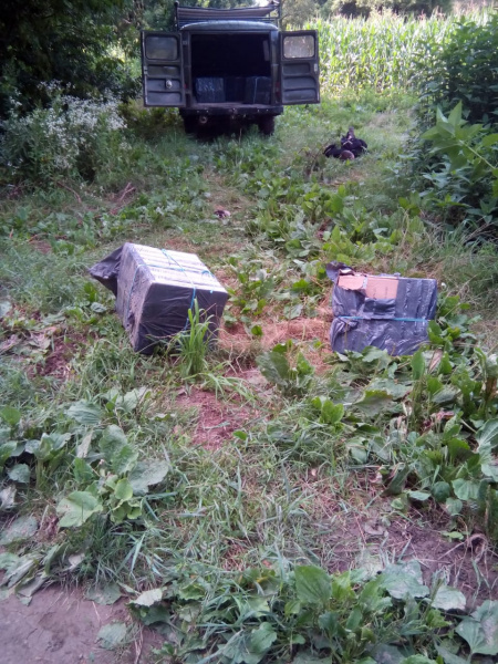 Прикордонники попередили контрабанду тютюнових виробів до Угорщини