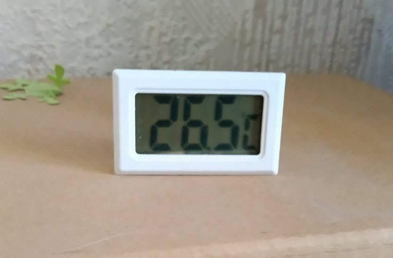 Украинцы &quot;сходят с ума&quot;: в квартирах невероятная жара