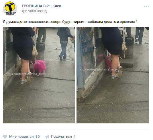 По улицам Киева разгуливает розовый пес
