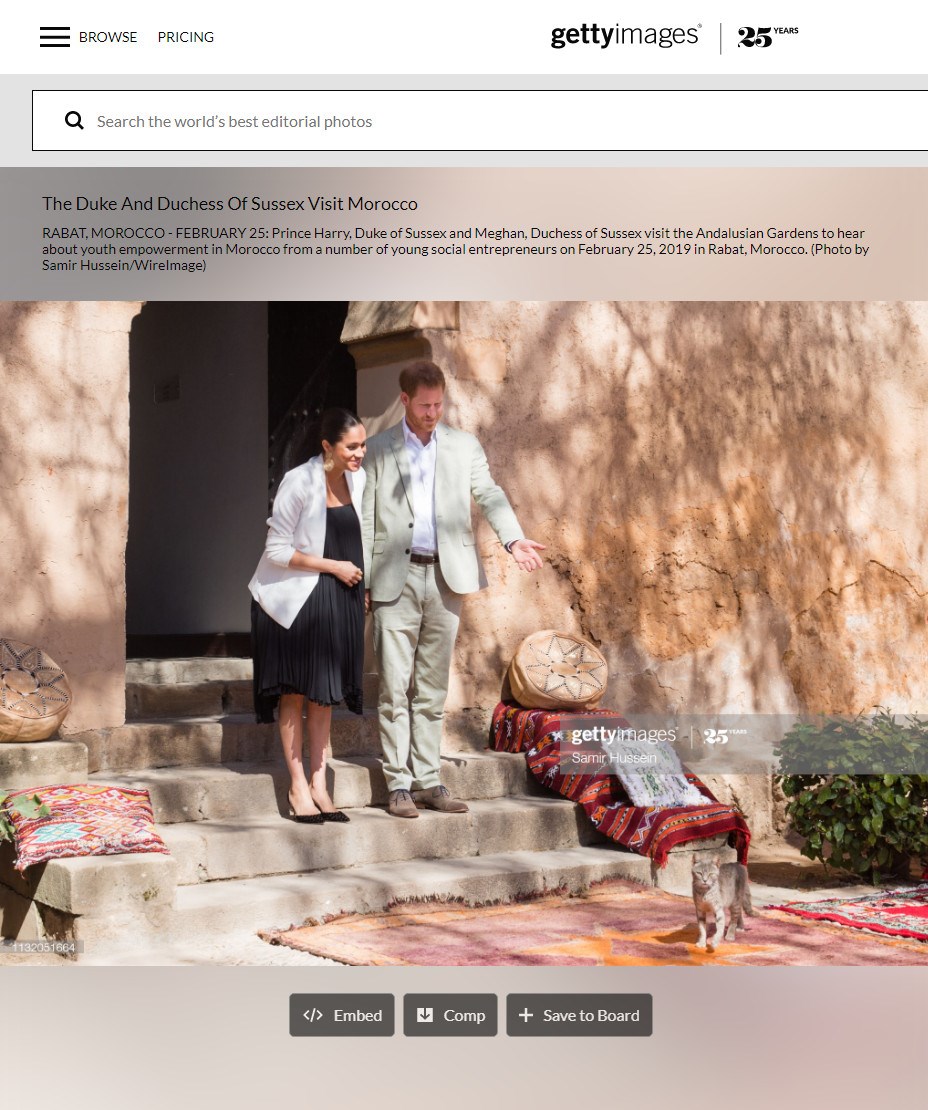 Королевский фотограф показал 5 редких фото Меган Маркл и принца Гарри, которые мало кто видел раньше