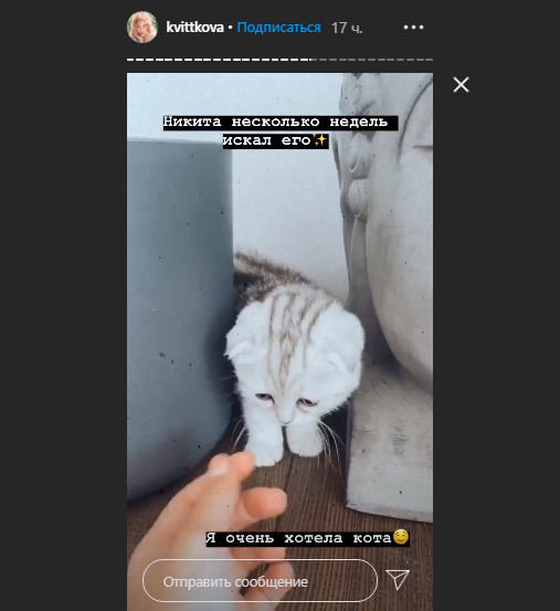 Тренировка перед детками: Холостяк-9 осуществил мечту своей избранницы