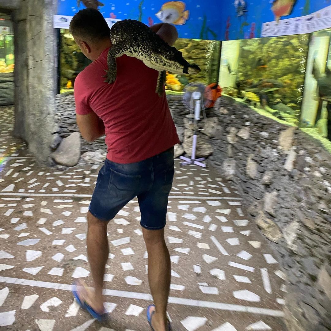 В Ялті повністю затопило крокодиляріум: на волі опинилися 70 рептилій (відео)