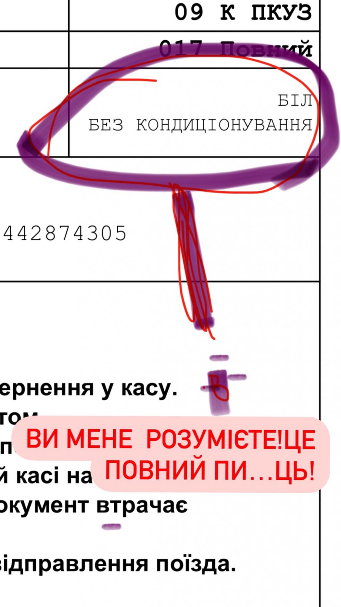 Ольгу Сумську шокували умови в поїзді Укрзалізниці: "знущання над людьми!" (Відео)